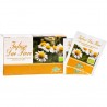 Aboca Camomilla Due Fiori, 20 bustine