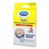 Scholl Cerotto Callifugo Trattamento Rimozione e Protezione