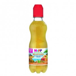 Hipp Frutta Splash Mix di frutta, 300 ml
