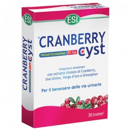 ESI Cranberry Cyst Ovalette, 30 ovalette 750 mg