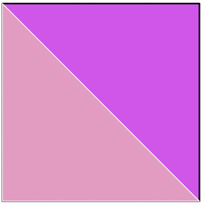 Rosa-Viola